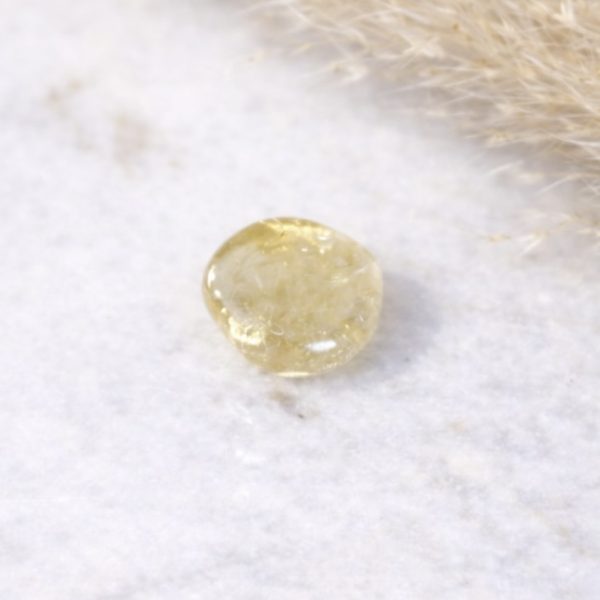 Concentration - Citrin