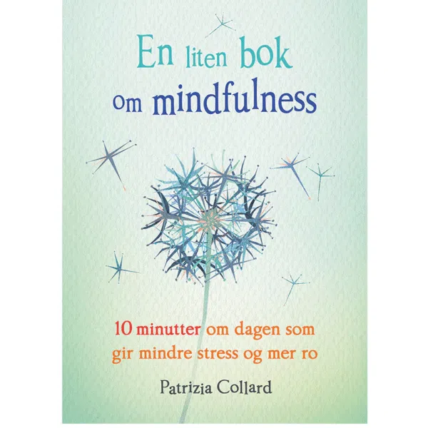 En liten bok om mindfulness