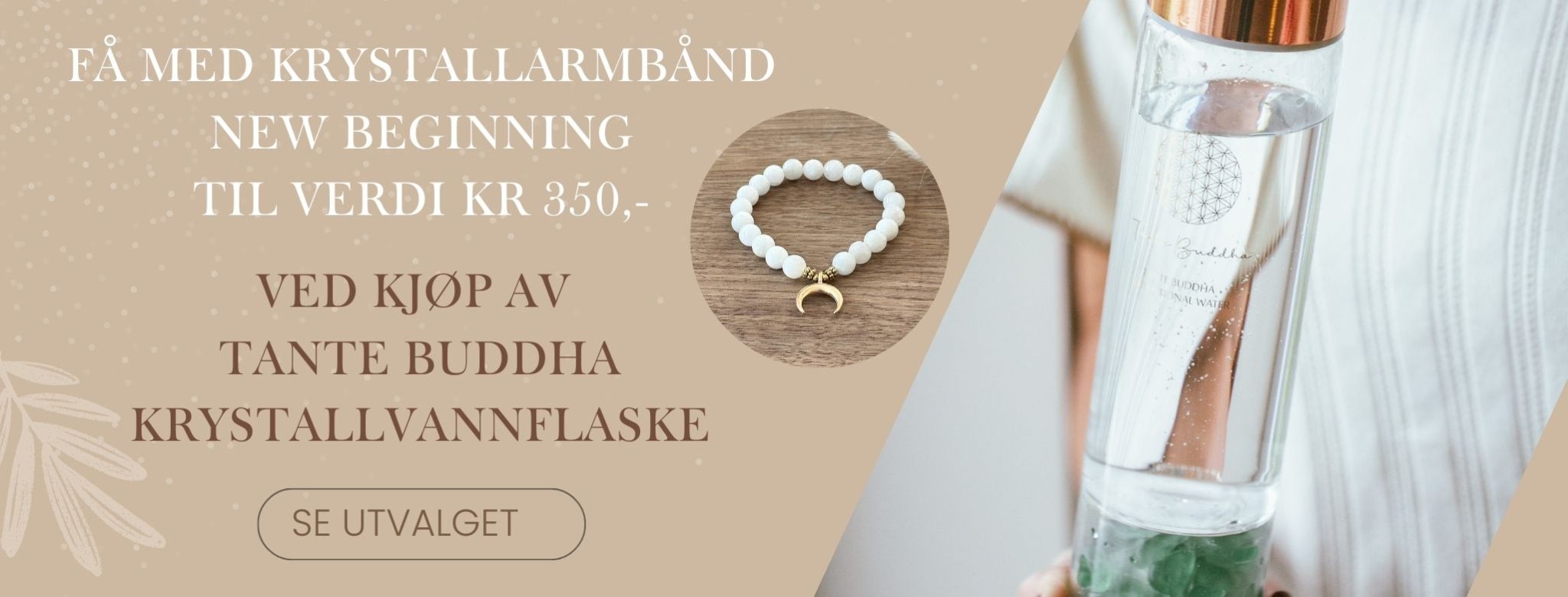 Tante Buddha banner-8