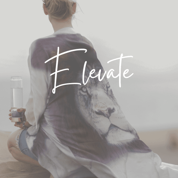 Elevate 1:1 Bevissthetsveiledning