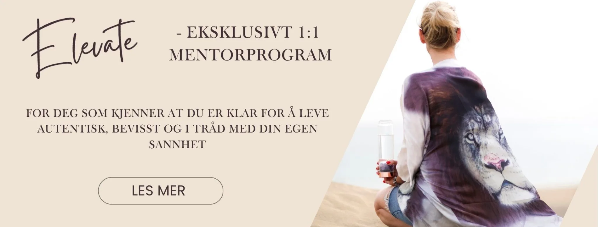 Elevate mentorprogram