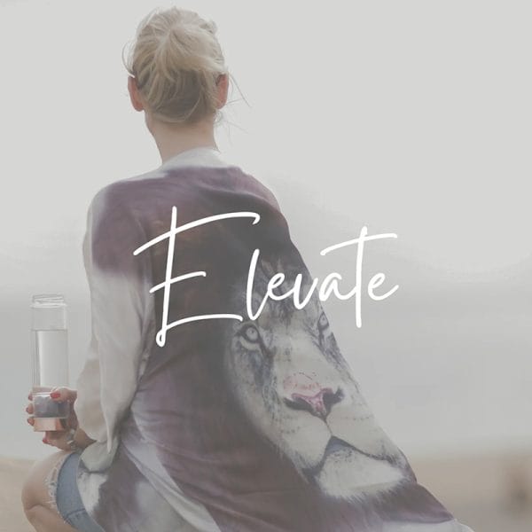 Elevate - 12 ukers Bevissthetsutvikling